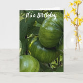 GREEN TOMATO VEGETABLE GARDEN BIRTHDAY CARD カード (黄色い花)
