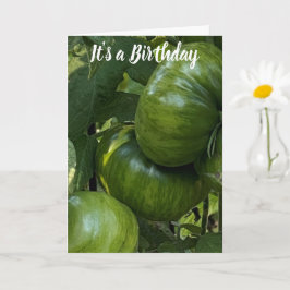 GREEN TOMATO VEGETABLE GARDEN BIRTHDAY CARD カード