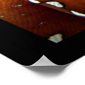 Green Tree Python ポスター (角)