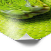 Green Tree Python、銀河系 フォトプリント (角)