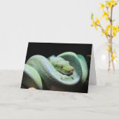 Green Tree Python - Snake Greeting Card カード (黄色い花)