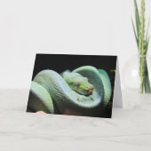 Green Tree Python - Snake Greeting Card カード (正面)