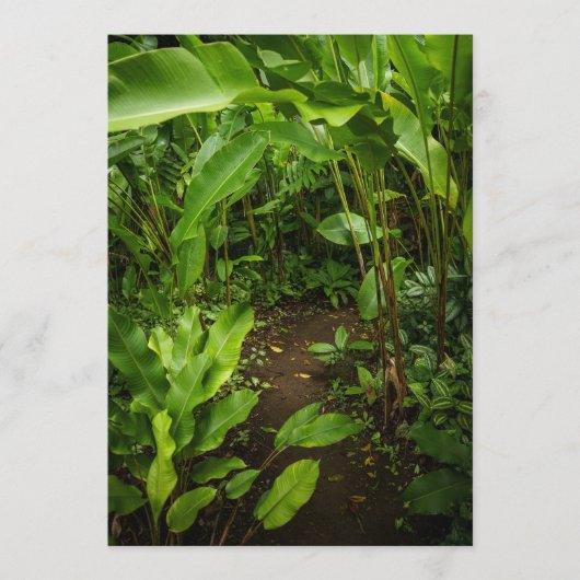 Green tropical garden, Earth Day Card (正面)