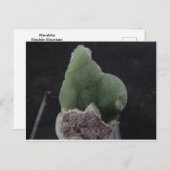 Green Wavelliteポストカード ポストカード (正面/裏面)