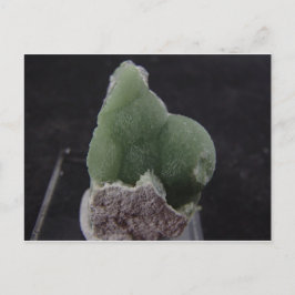 Green Wavelliteポストカード ポストカード