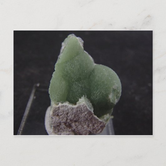 Green Wavelliteポストカード ポストカード (正面)