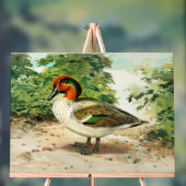 Green-winged teal アクリルサイン (ニュートラル)