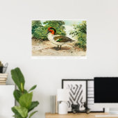 Green-winged teal ポスター (ホームオフィス)