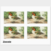 Green-winged teal 長方形シール (シート)