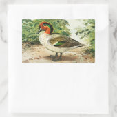 Green-winged teal 長方形シール (バッグ)