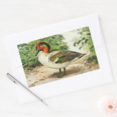 Green-winged teal 長方形シール (封筒)