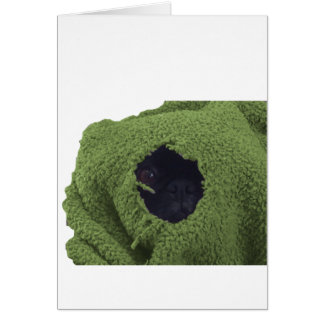 greenblankie.png