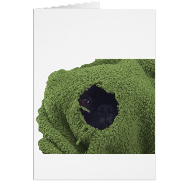 greenblankie.png (正面)