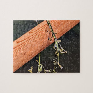 Greenland Paddle Puzzle ジグソーパズル