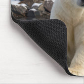 Greenland Polar Bear On an Ice Floe マウスパッド (コーナー)