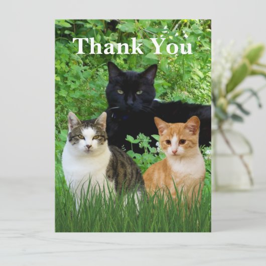 Greeting Cardで獣医さんに感謝 (スタンド正面)