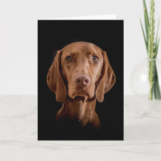 Greeting Card  "Magyar Vizsla" カード