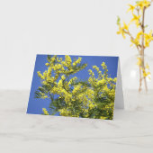 Greeting card : mimosa flowers カード (黄色い花)