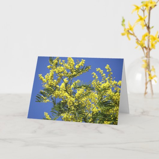 Greeting card : mimosa flowers カード (黄色い花)