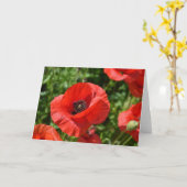 Greeting card - Red poppies カード (黄色い花)