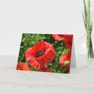 Greeting card - Red poppies カード