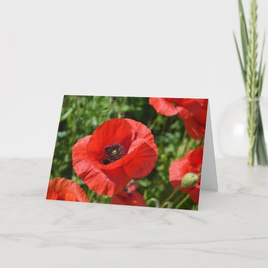 Greeting card - Red poppies カード (正面)