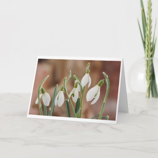 greeting card snowdrop without text カード (正面)