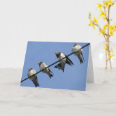 Greeting card : swallow chicks on a cable カード (黄色い花)