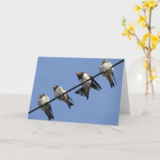 Greeting card : swallow chicks on a cable カード (黄色い花)