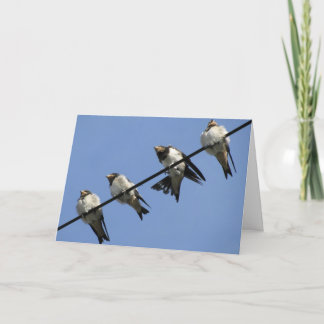 Greeting card : swallow chicks on a cable カード