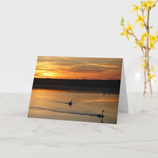 Greeting card : swans in the sunset カード (黄色い花)