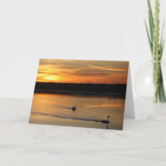 Greeting card : swans in the sunset カード