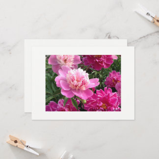 Greeting card with beautiful peonies カード
