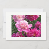 Greeting card with beautiful peonies カード (正面)