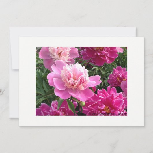 Greeting card with beautiful peonies カード (正面)