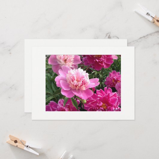 Greeting card with beautiful peonies カード (正面/裏面インサイチュ)