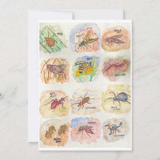 Greeting card with colorful images of twelve bugs シーズンカード (正面)
