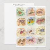 Greeting card with colorful images of twelve bugs シーズンカード (正面/裏面)