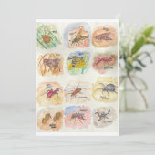 Greeting card with colorful images of twelve bugs シーズンカード (スタンド正面)