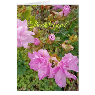 Greeting with lavender blooms on azalea. Thank You