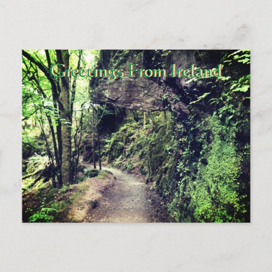 Greetings From Ireland Postcard ポストカード (正面)