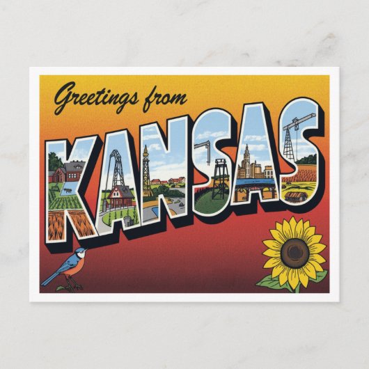 Greetings from Kansas Sunflower ポストカード (正面)