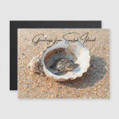 Greetings from Sanibel Island Sea Turtle in Shell (正面/裏面)