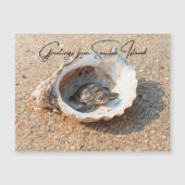 Greetings from Sanibel Island Sea Turtle in Shell (正面)