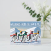 "Greetings from the South Pole" Penguin Design ポストカード (スタンド正面)