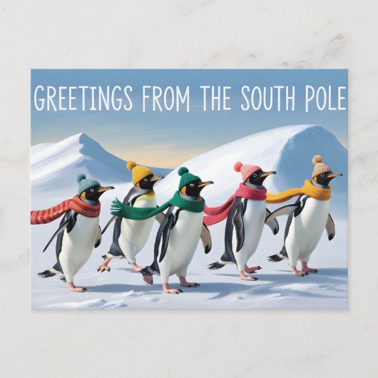 "Greetings from the South Pole" Penguin Design ポストカード (正面)