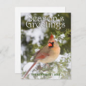 Greetings - Northern Tree in Juniper Tree ポストカード (正面/裏面)