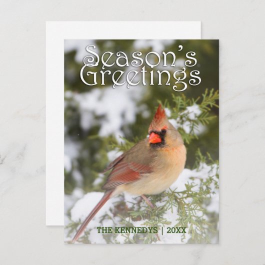 Greetings - Northern Tree in Juniper Tree ポストカード (正面/裏面)