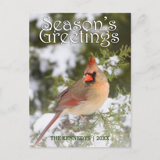 Greetings - Northern Tree in Juniper Tree ポストカード (正面)