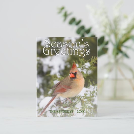 Greetings - Northern Tree in Juniper Tree ポストカード (スタンド正面)